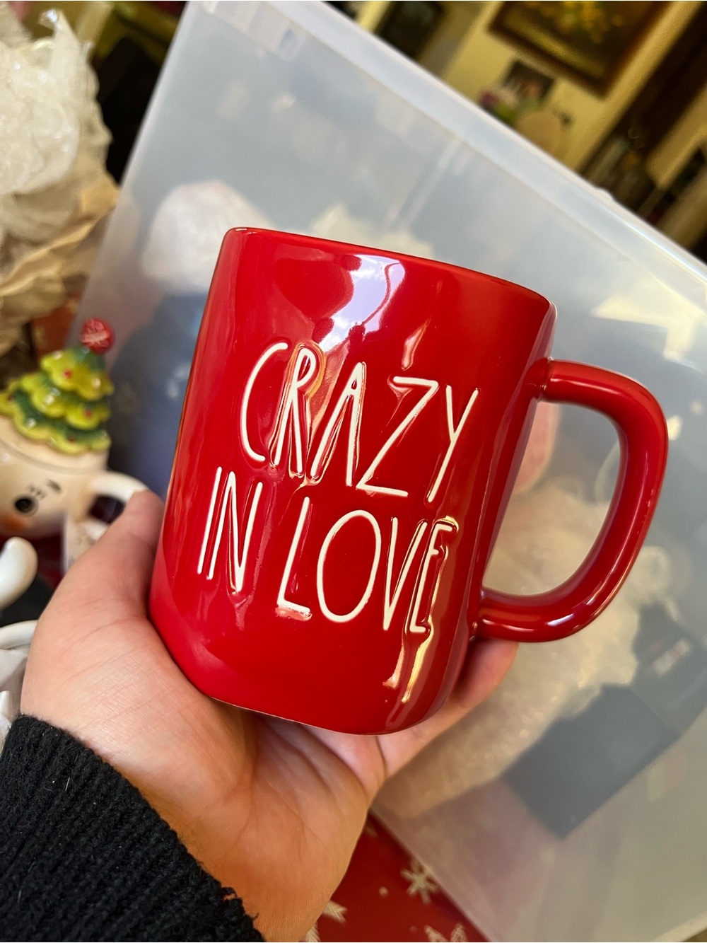 RAE DUNN CRAZY IN LOVE MUG